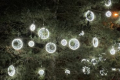 Railway-Approch-Lights-on-Tree-scaled-e1702370582821