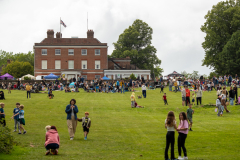 ecl-crowd-hill-shot-