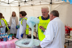 ecl-the-lions-candy-floss